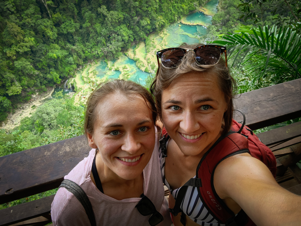lion and bee in Semuc Champey